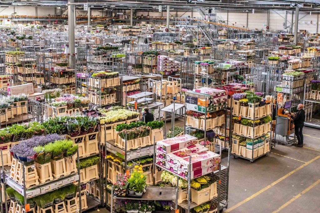 Snakeware breidt uit naar bloemen en planten