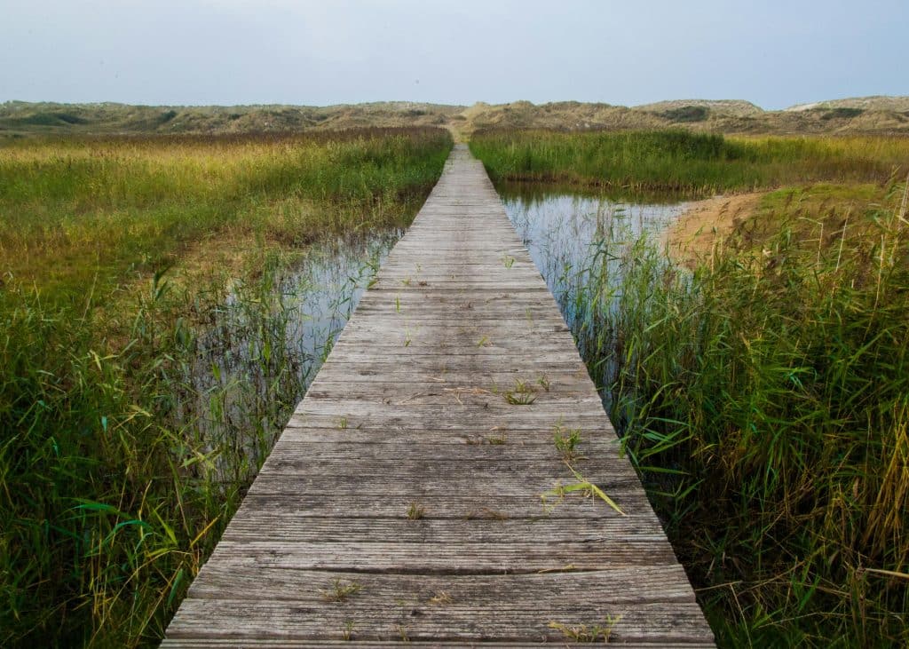 Manieren waarmee ondernemers in Friesland hun bedrijf naar nieuwe hoogtes stuwen